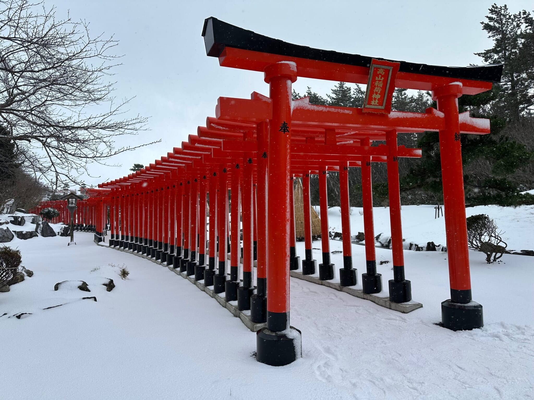 ⛩️ 귀신 봉우리 이나리 신사(오니타케 이나리 진자) 이미지 7